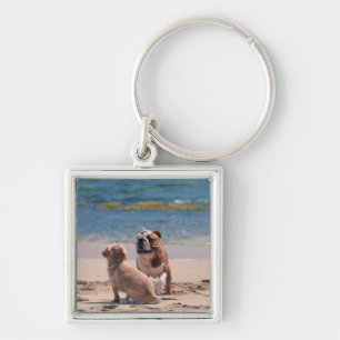 Dog of Sandy Beach Key Ring
