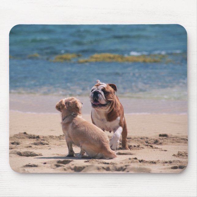 Dog of Sandy Beach Mouse Mat (Front)