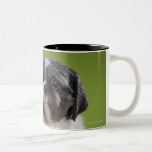 Dog on a column Two-Tone coffee mug