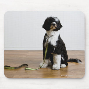 dog on a leash mouse mat