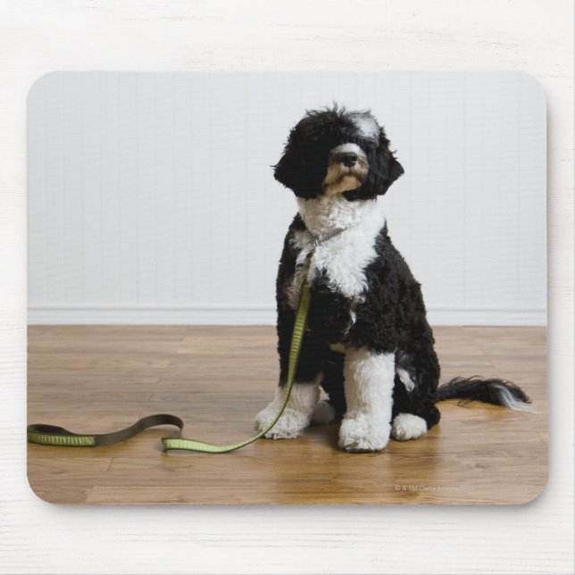 dog on a leash mouse mat (Front)