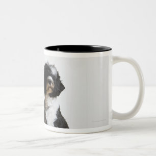 dog on a leash Two-Tone coffee mug