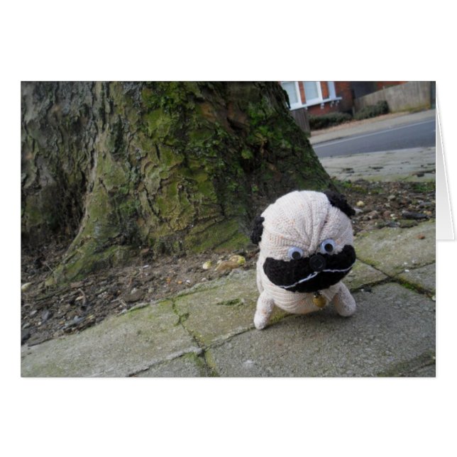 Dog on a Pavement (Front Horizontal)