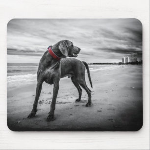 Dog on Beach Black & White Photo with Red Collar Mouse Mat