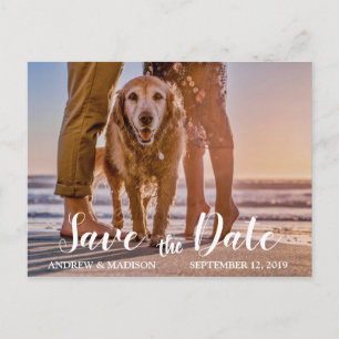 Dog on Beach with Couple Save the Date Announcement Postcard