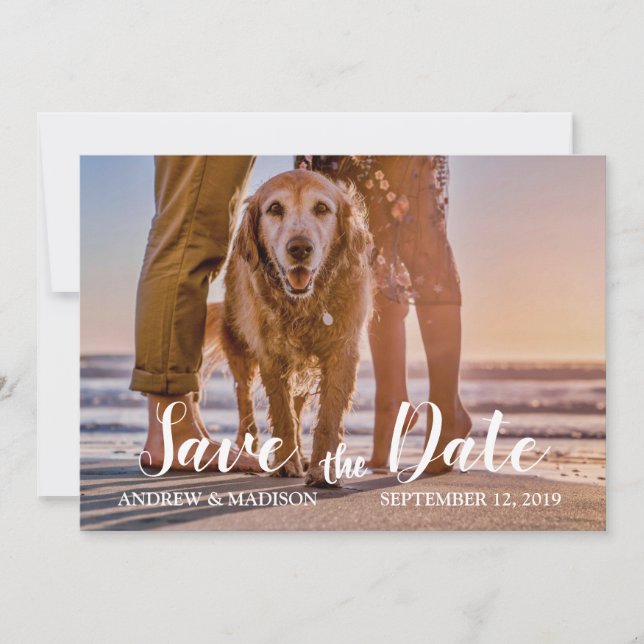 Dog on Beach with Couple Save the Date Card (Front)