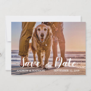 Dog on Beach with Couple Save the Date Card