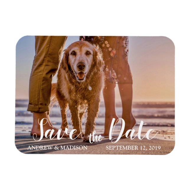 Dog on Beach with Couple Save the Date Magnet (Horizontal)