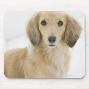 Dog on couch mouse mat