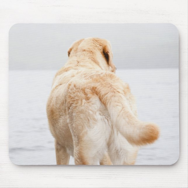 Dog on dock mouse mat (Front)