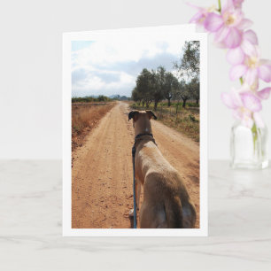 Dog on Dusty Road Card