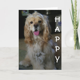 "DOG-ON GOOD BIRTHDAY" says COCKER SPANIEL Card