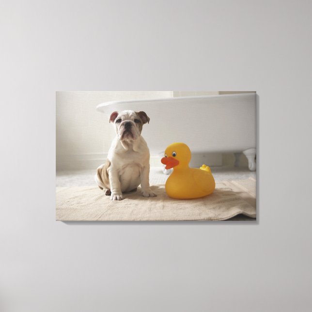 Dog on mat with plastic duck canvas print (Front)