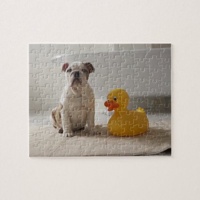 Dog on mat with plastic duck jigsaw puzzle (Horizontal)
