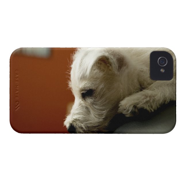 Dog on office chair Case-Mate iPhone case (Back Horizontal)