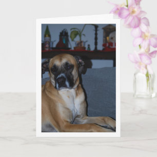 Dog on Sofa Portrait Card