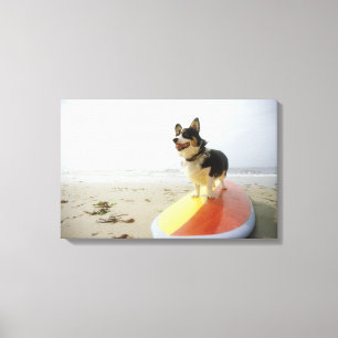 Dog on surfboard canvas print