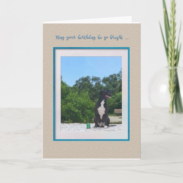 Dog On The Beach Birthday Card (Front)