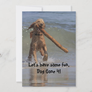 Dog on the Beach Invitation