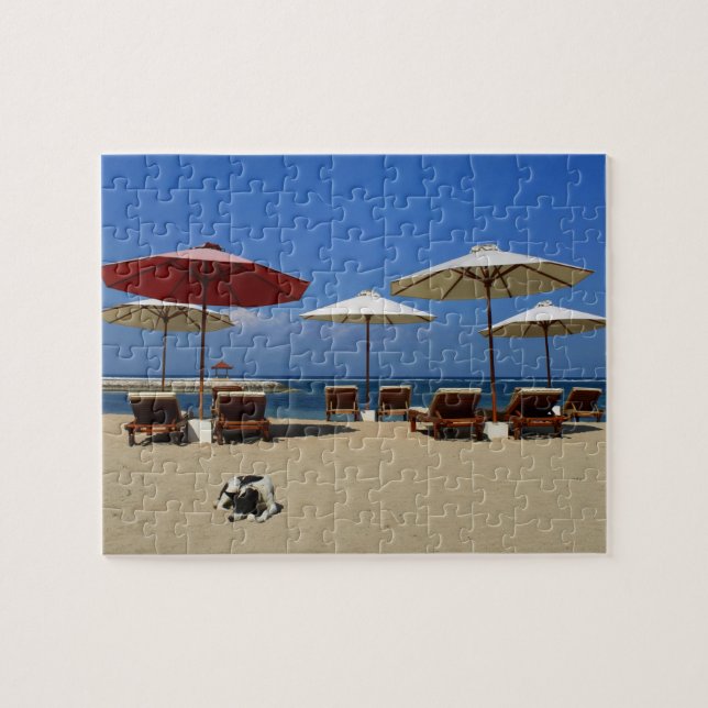Dog on the beach jigsaw puzzle (Horizontal)