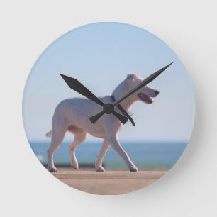 Dog on the beach round clock