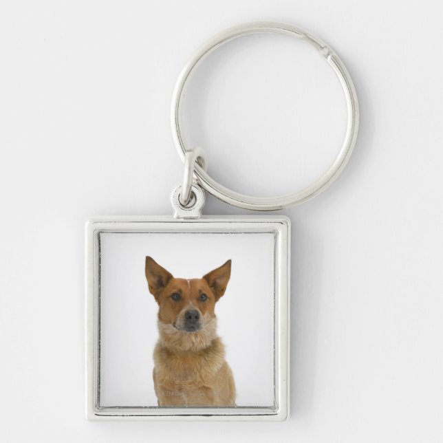 Dog on White 01 Key Ring (Front)