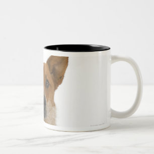 Dog on White 01 Two-Tone Coffee Mug