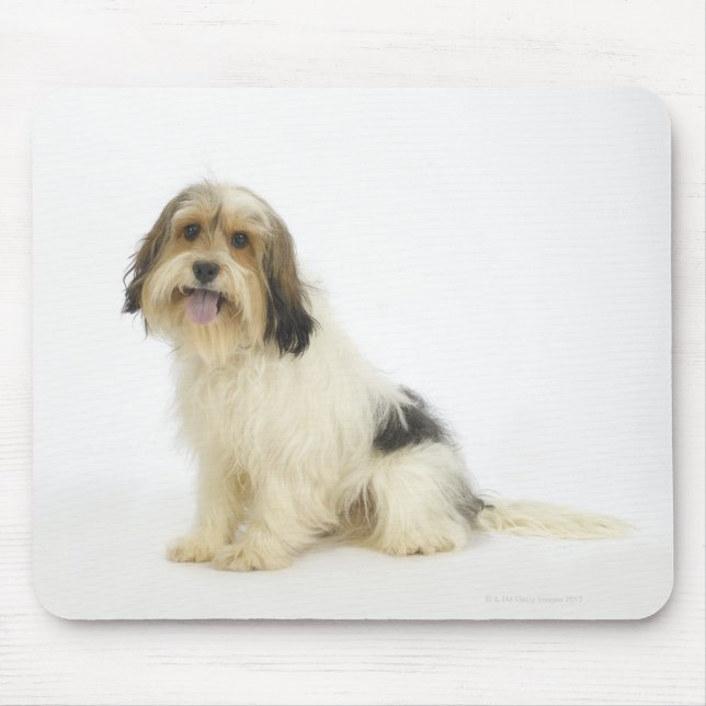 Dog on White 104 Mouse Mat (Front)