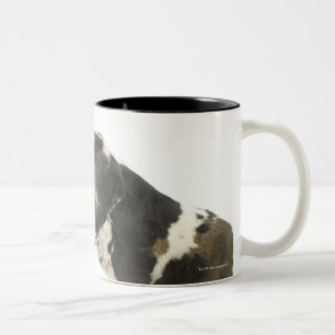 Dog on White 11 Two-Tone Coffee Mug