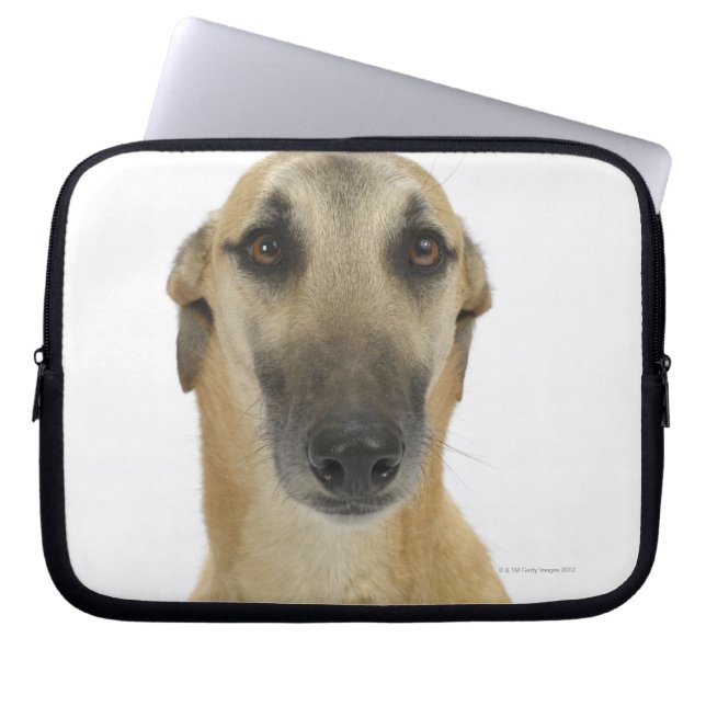 Dog on White 41 Laptop Sleeve (Front)