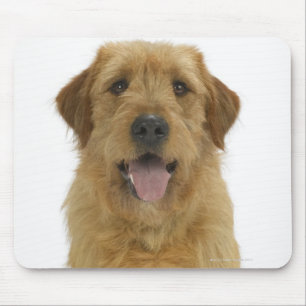 Dog on White 44 Mouse Mat