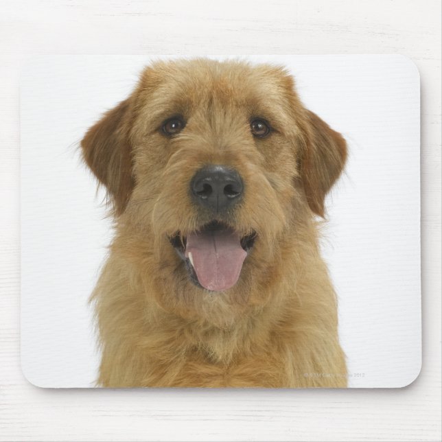 Dog on White 44 Mouse Mat (Front)