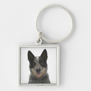 Dog on White 5 Key Ring