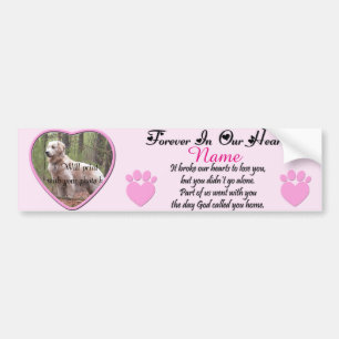 Dog or Cat Memorial Pink Bumper Sticker