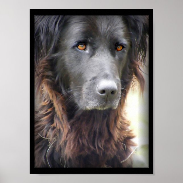 dog painting poster (Front)