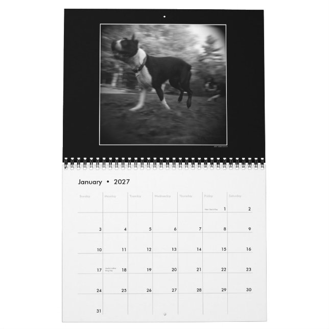Dog park calendar 3 (Jan 2027)