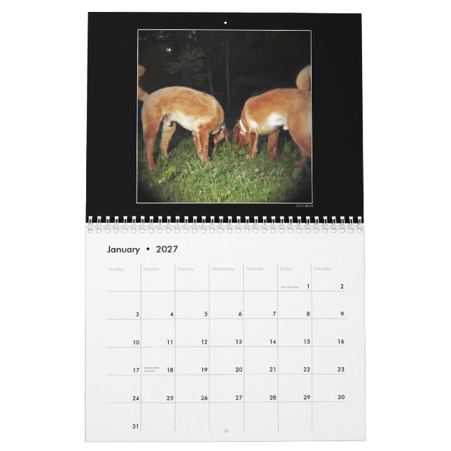 Dog Park Colour Calendar 2 (Jan 2027)