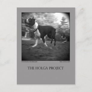 Dog Park Postcard 15
