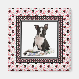 Dog Paw and Bone Pet Photo Template Magnet