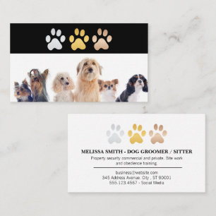 Dog Paw Logos   Animals Business Card