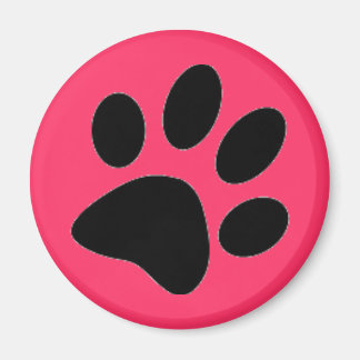 dog paw magnet
