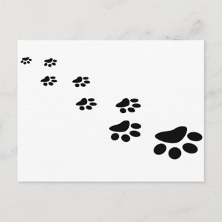 Dog Paw Postcard