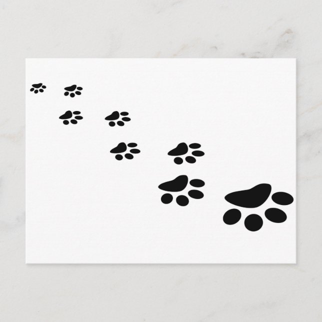Dog Paw Postcard (Front)