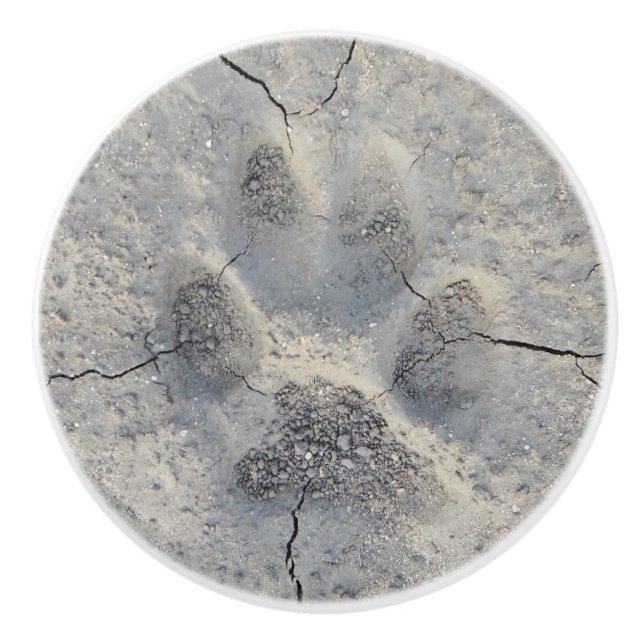Dog paw print photo knob (Front)