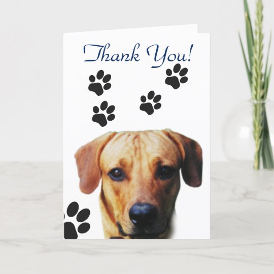 Dog Paw Print Thank you | Zazzle.co.uk