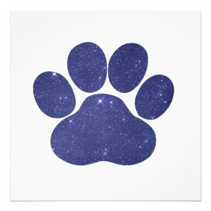 Dog Paw Silhouette Photo Print