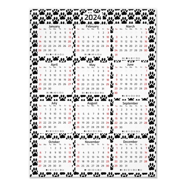 Dog Pawprint Pattern 2024 Calendar Photo Print (Front)