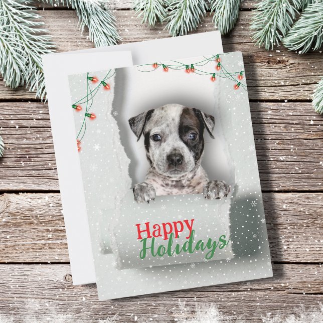 Dog Peeking Christmas Lights Holiday Card (Happy Holidays to the dog lovers out there. A festive dog peeking through this torn paper. Too cute!)