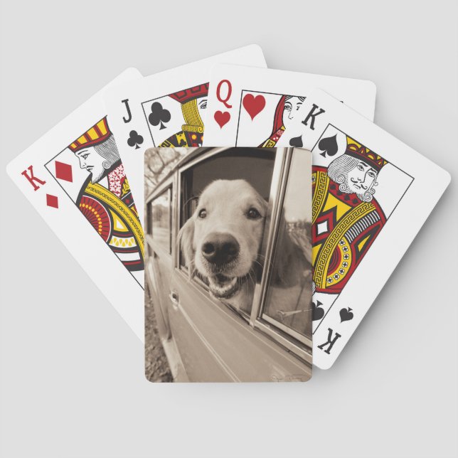 Dog Peeking Out a Car Window Playing Cards (Back)