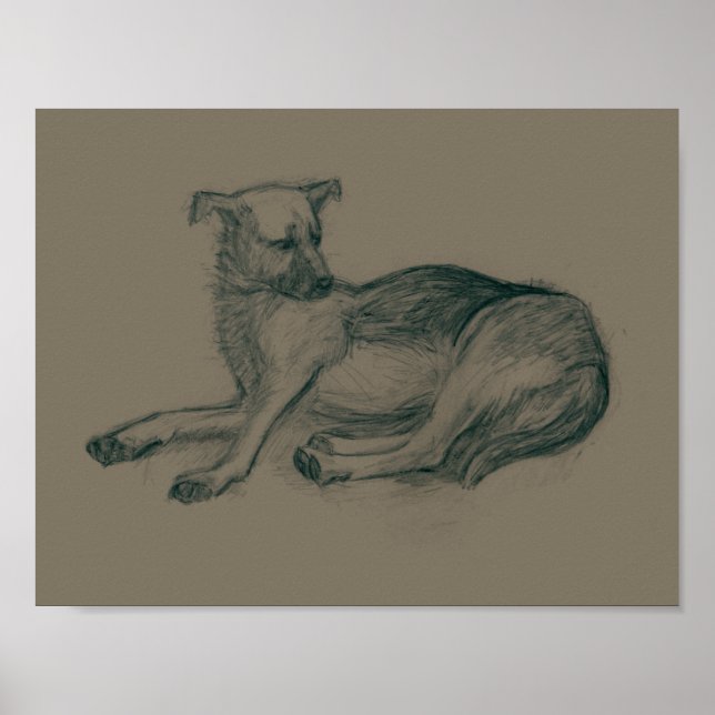 Dog. Pencil drawing. Poster (Front)